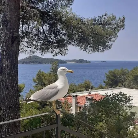 Kucica Za Odmor F Apartman *